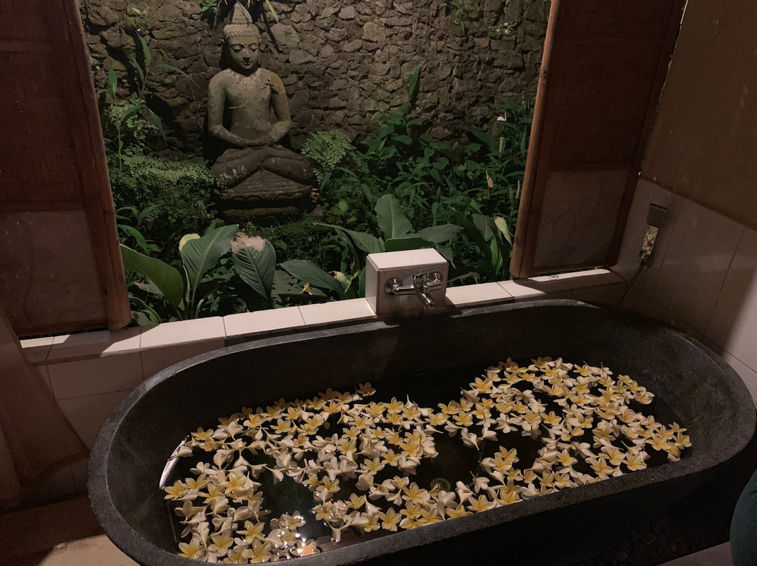 Ubud Wellness Spa景点图片