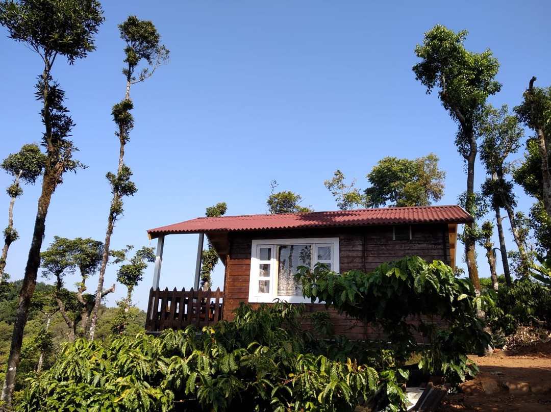 Pravat Plantation Stay