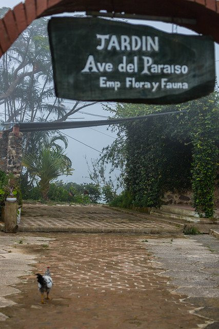 Jardin Ave del Paraiso景点图片