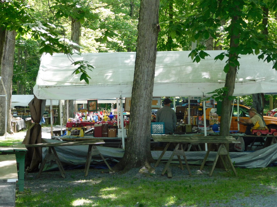 Shupp's Grove Antique Market景点图片