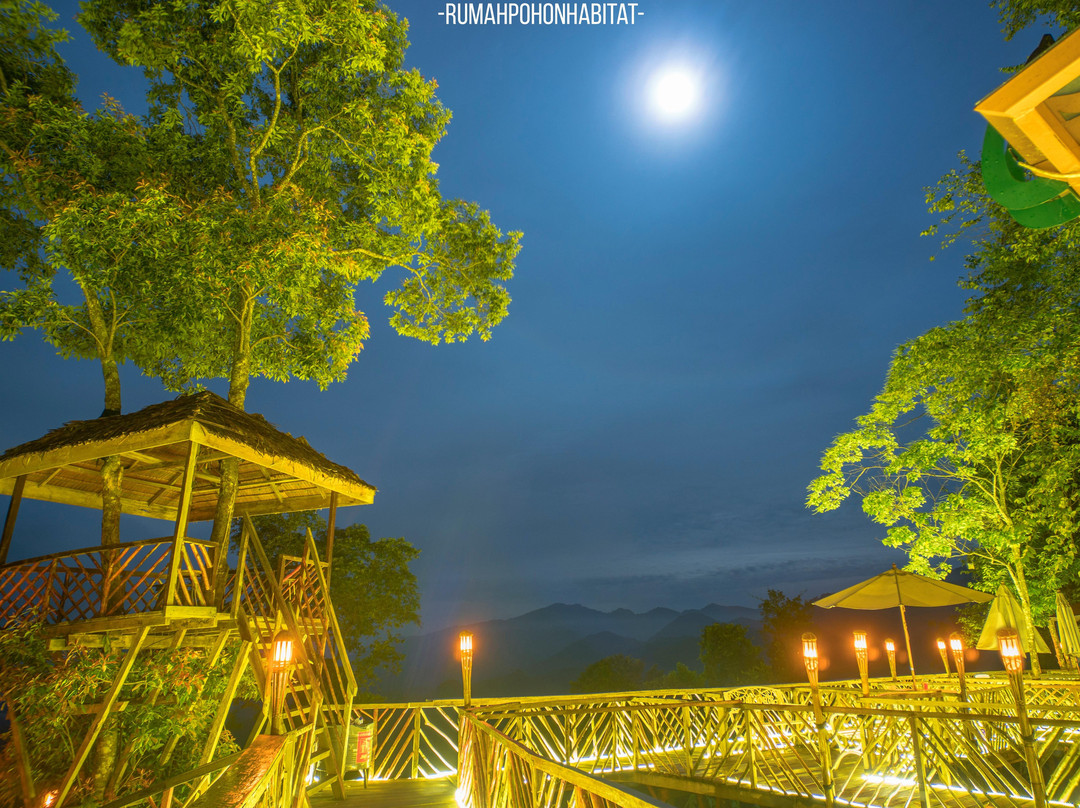 Rumah Pohon Habitat Tour-Binjai必去景点