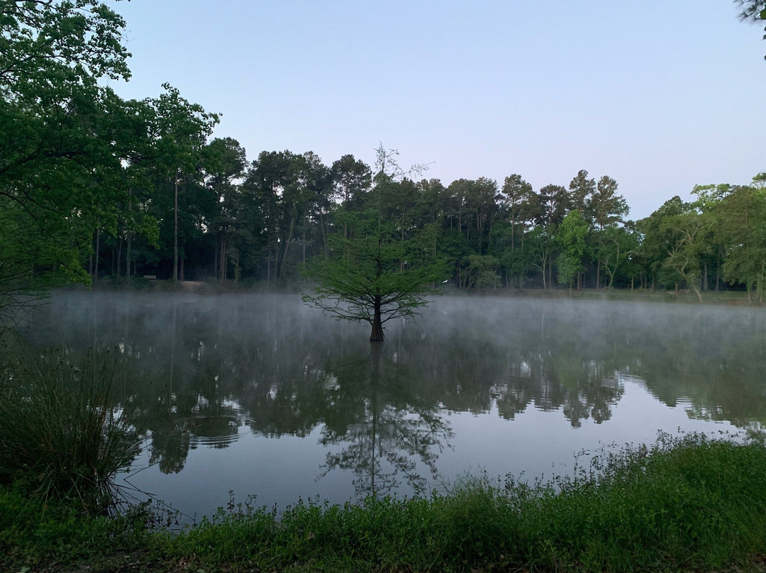 Meyer Park-斯普林必去景点