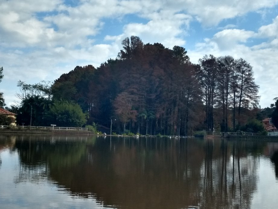 Horto Florestal景点图片