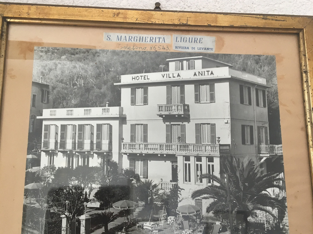 Hotel Villa Anita主图