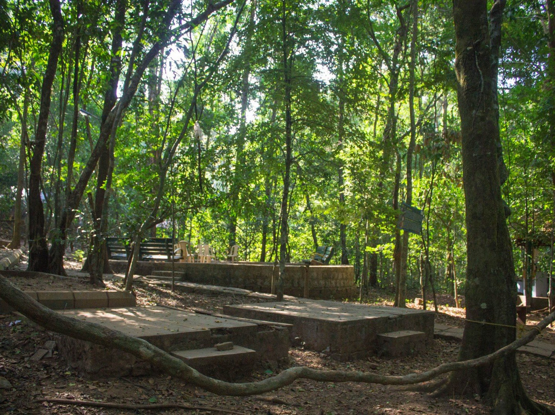 Seethanadi Nature Camp主图