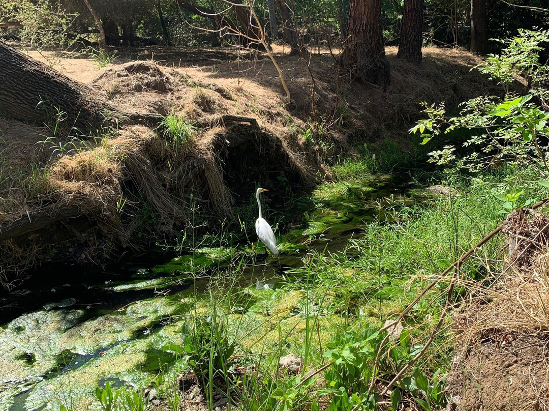 Markham Nature Park and Arboretum-康科德必去景点