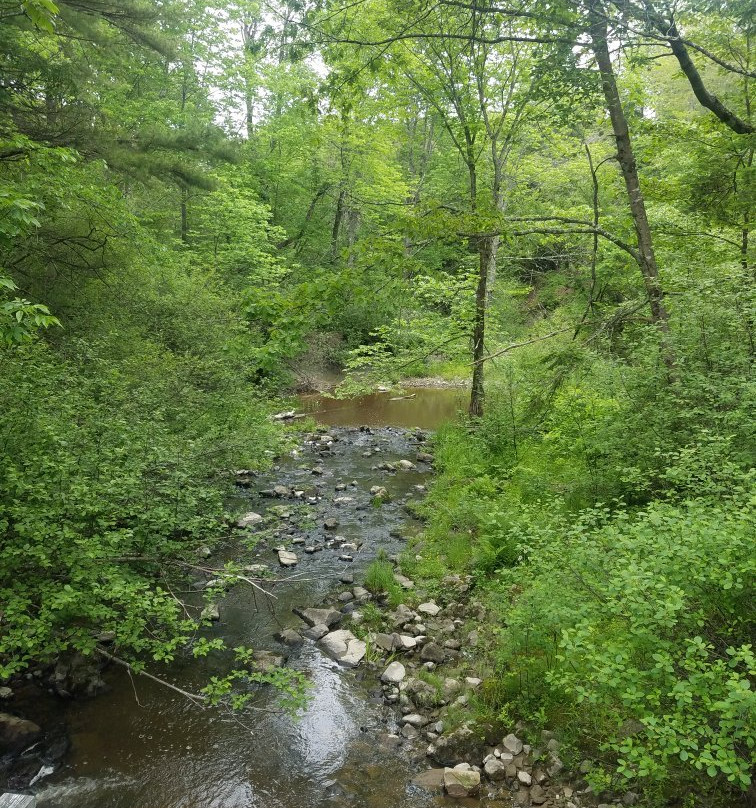 Pratt's Brook Park-Yarmouth必去景点