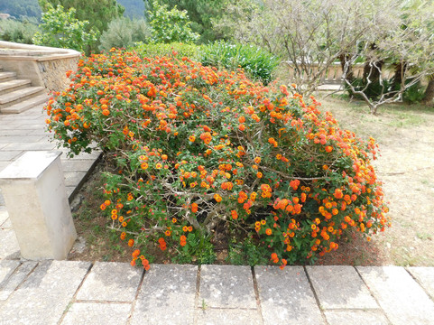 Ajuntament d'Andratx-Andratx必去景点