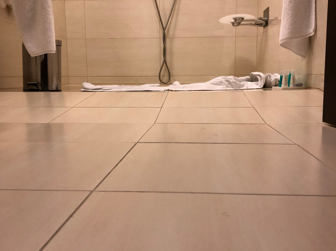 Hotel Baltaci Atrium主图