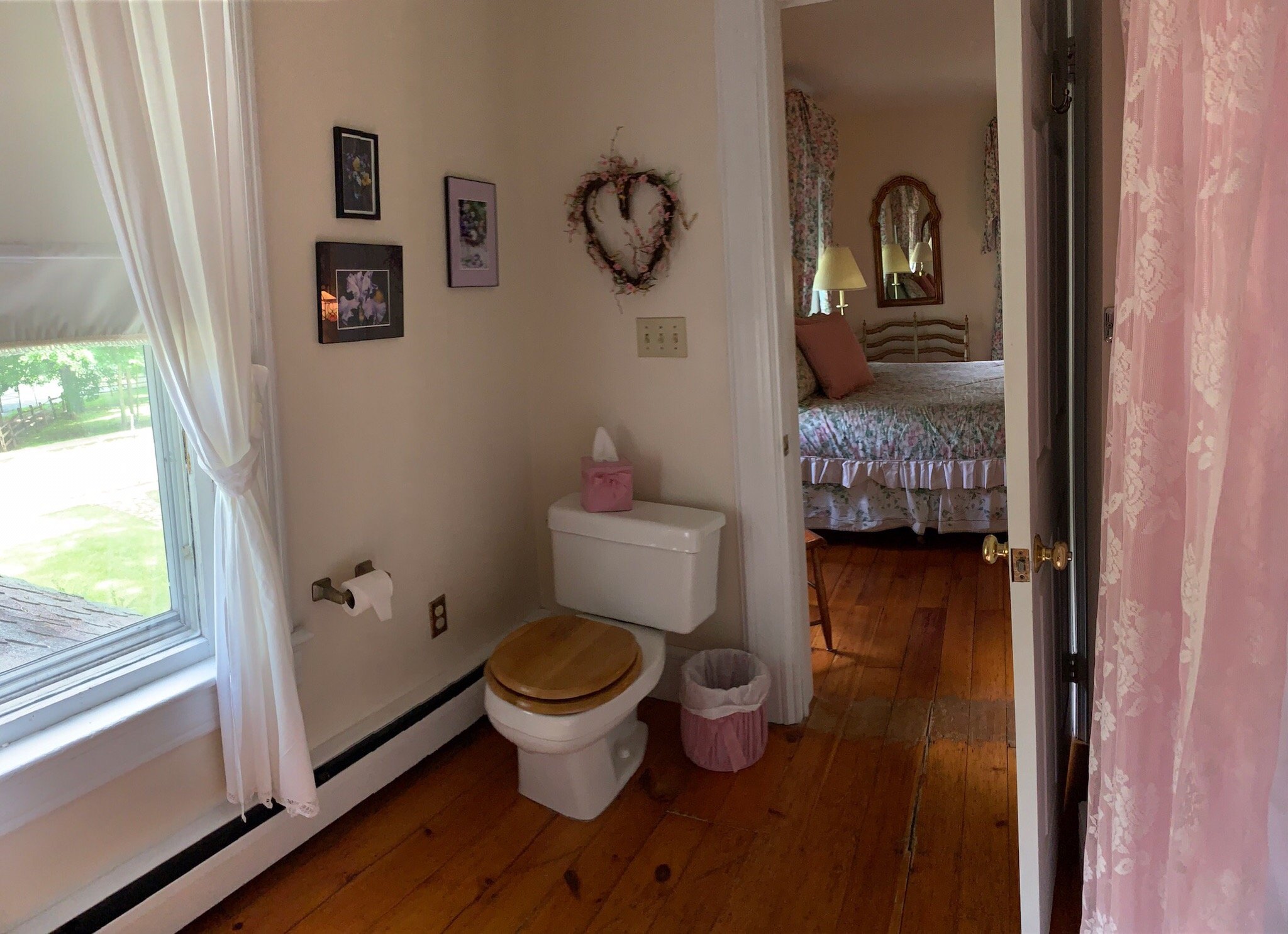 Nelson Avenue Pines-官方