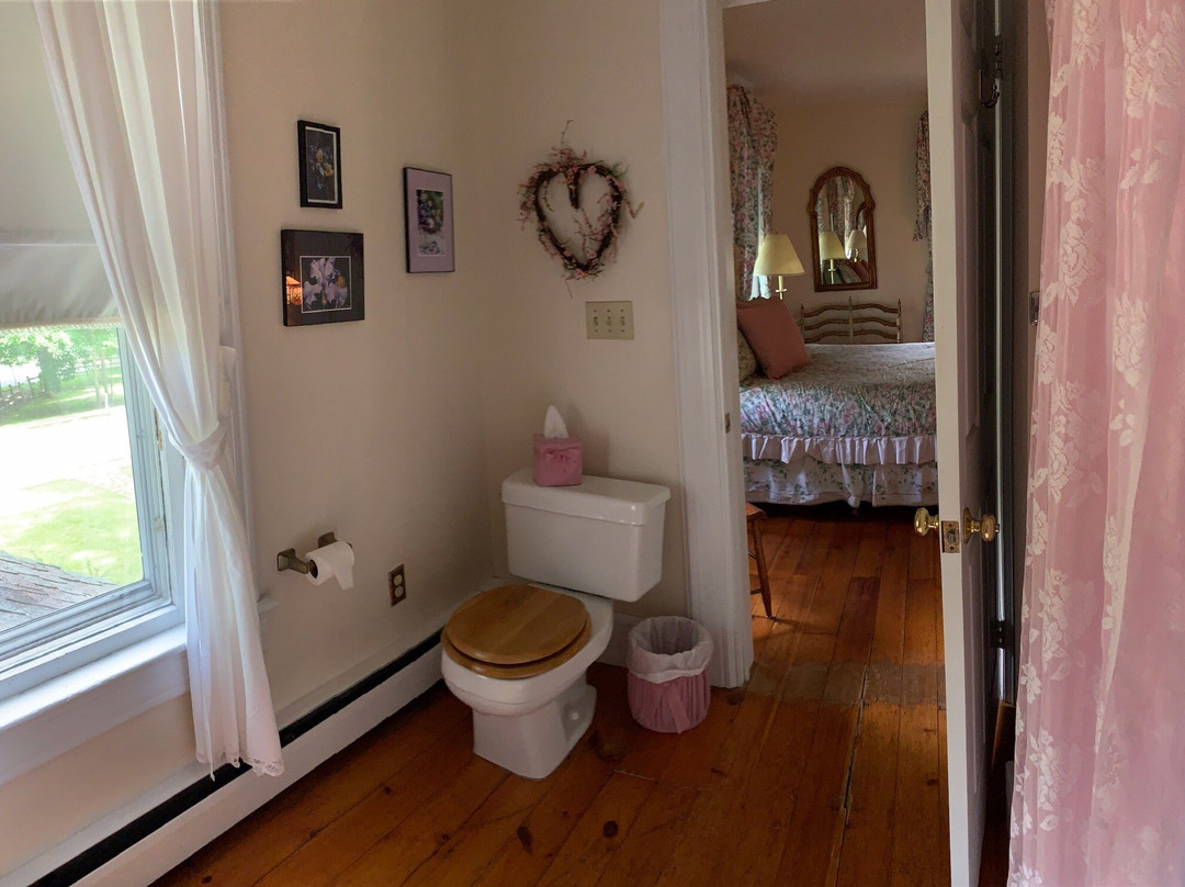 Nelson Avenue Pines主图