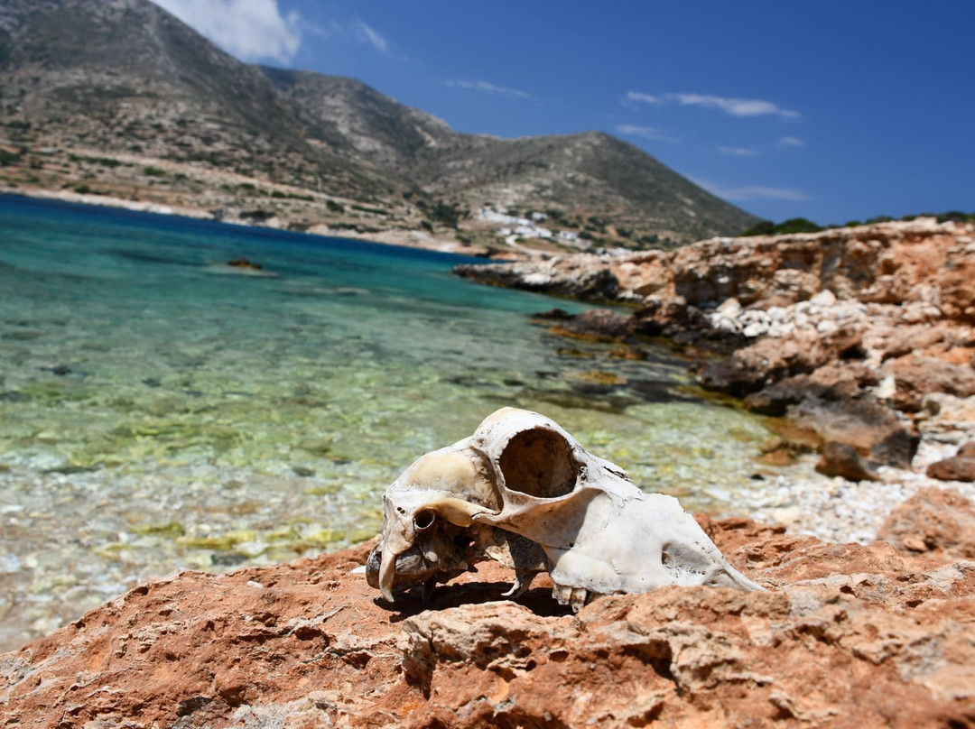 Trypiti Beach-Donousa必去景点