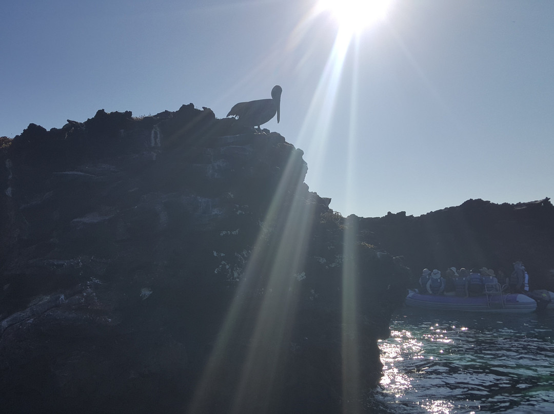 Galapagos Experience景点图片