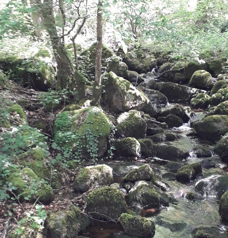 Cascade de Brisecou景点图片