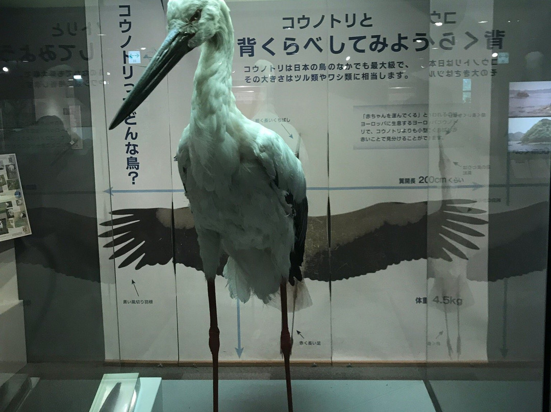 Hyogo Prefectural Operated Human and Nature Museum-三田市必去景点