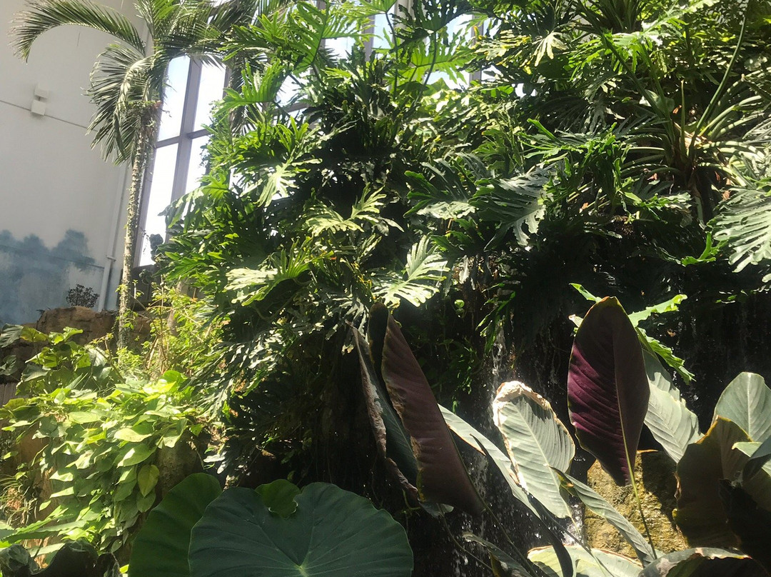 Quad City Botanical Center-罗克艾兰必去景点