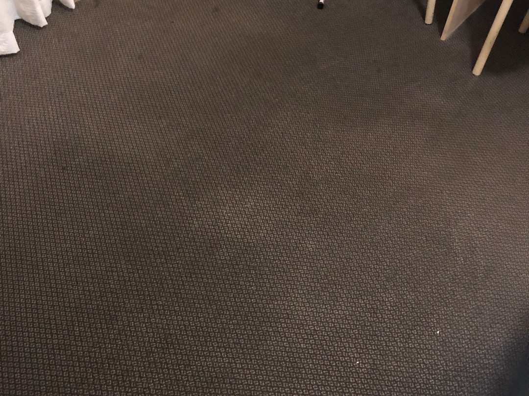 Cootamundra Gardens Motel主图