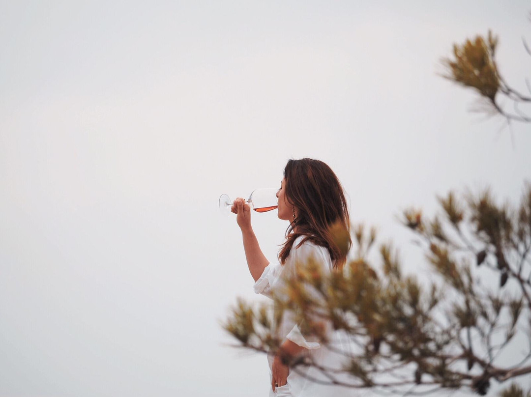 Hostal Spa Empuries主图