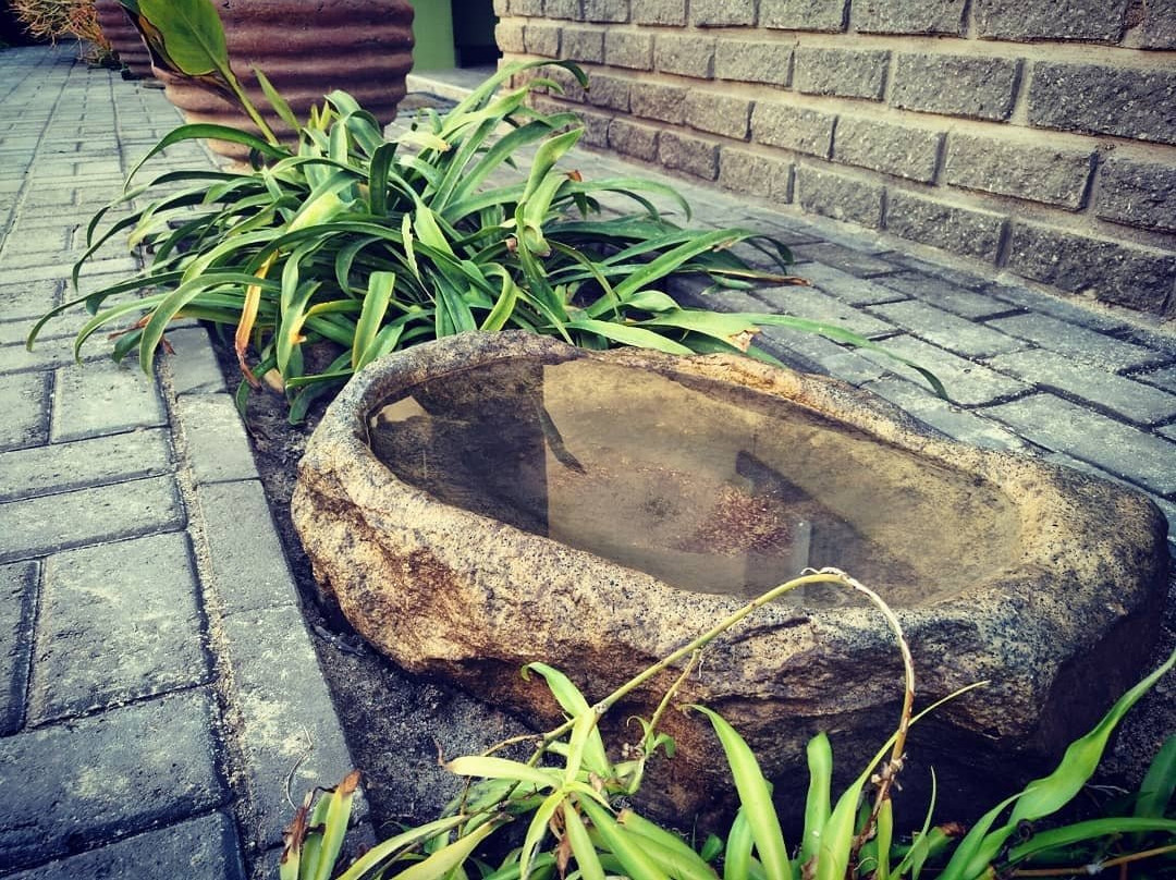 Bushbabies Inn主图