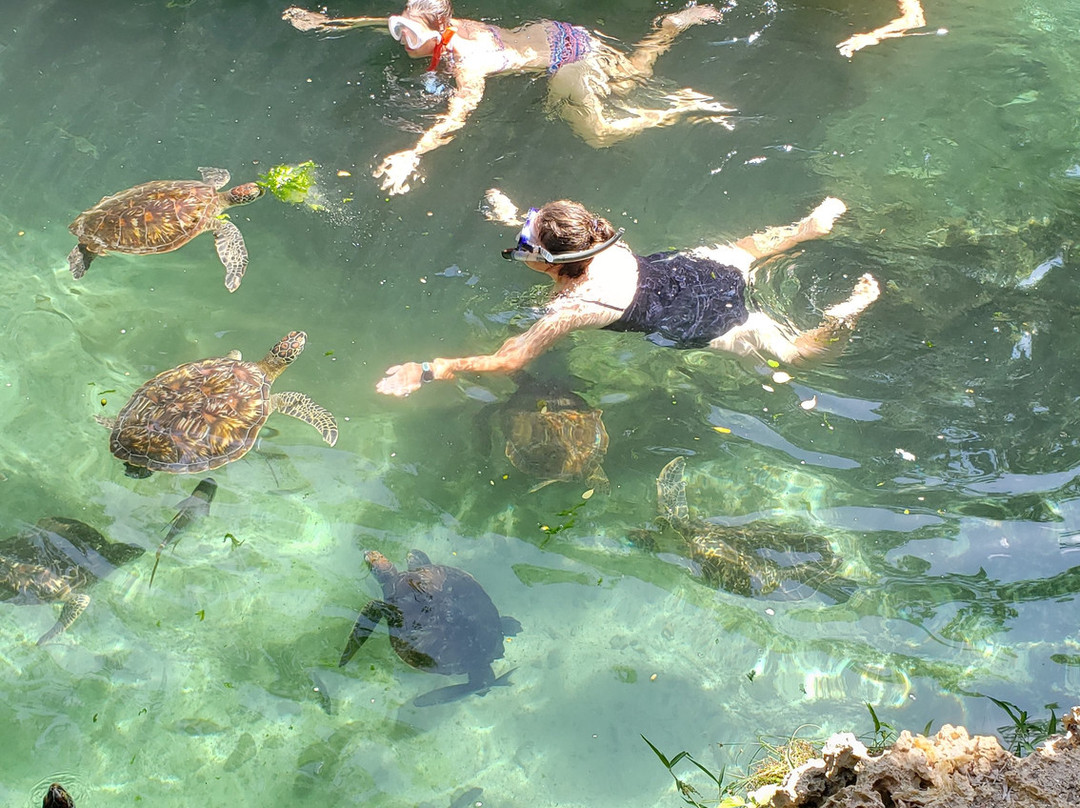 Baraka Natural Aquarium - Nungwi-孥归必去景点