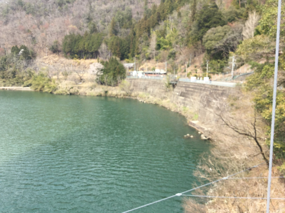 Tenryukyo Sakura Kaido景点图片