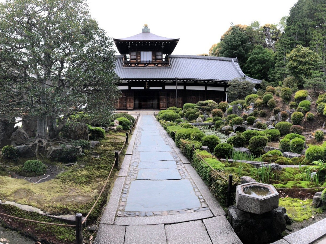 东福寺景点图片