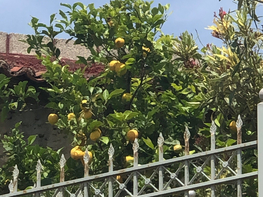 Traditional Mansion with pool & spa - The House of Prince主图