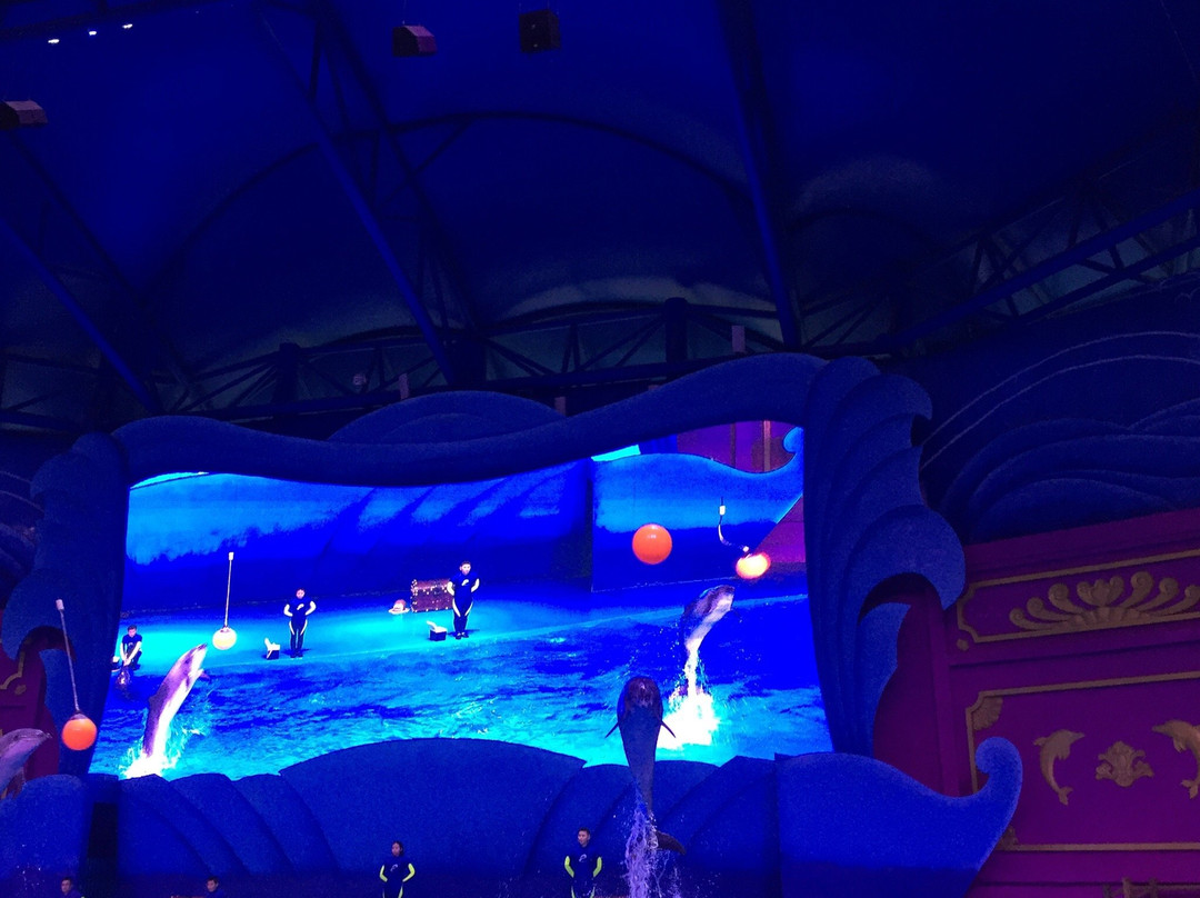 梦幻谷-东阳市必去景点