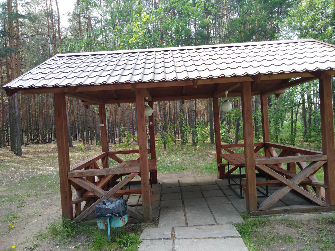 Staritsa Sanatorium主图