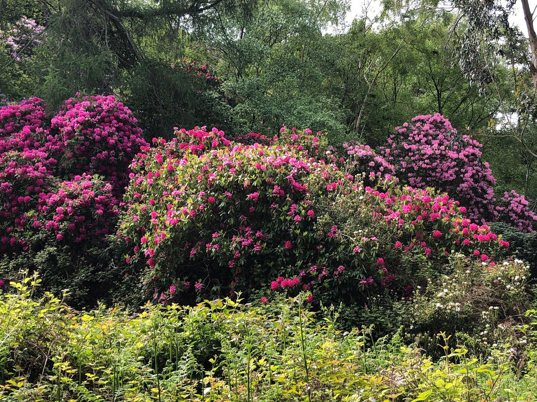 Howth Walking Tours-霍斯必去景点