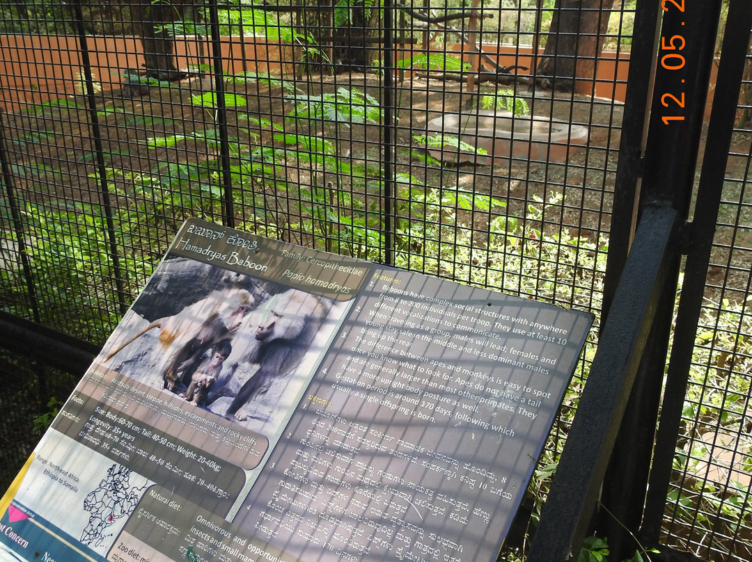 Sri Chamarajendra Zoological Gardens-迈索尔必去景点