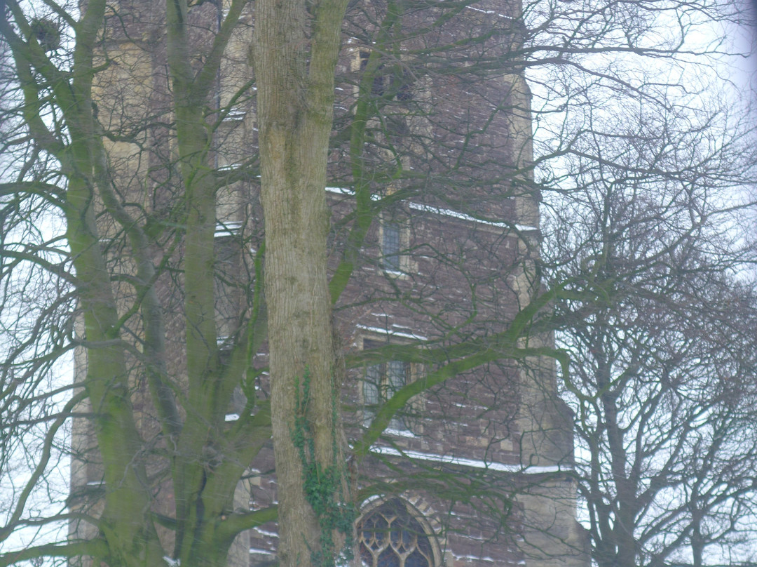Newport Cathedral景点图片