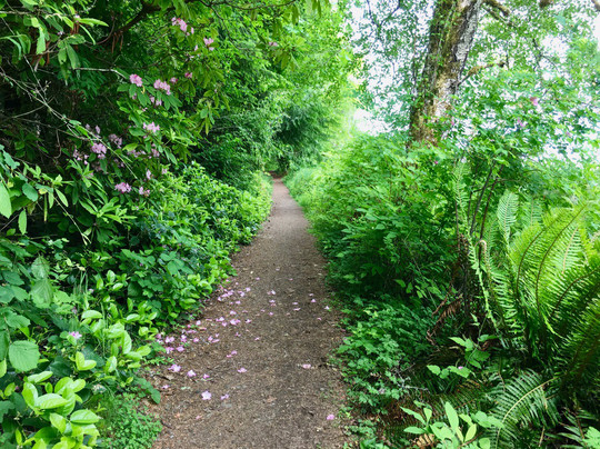 Guillemot Cove Nature Preserve-Seabeck必去景点