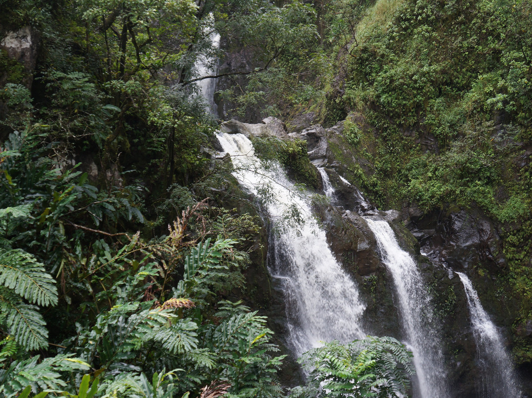 Upper Waikani Falls景点图片