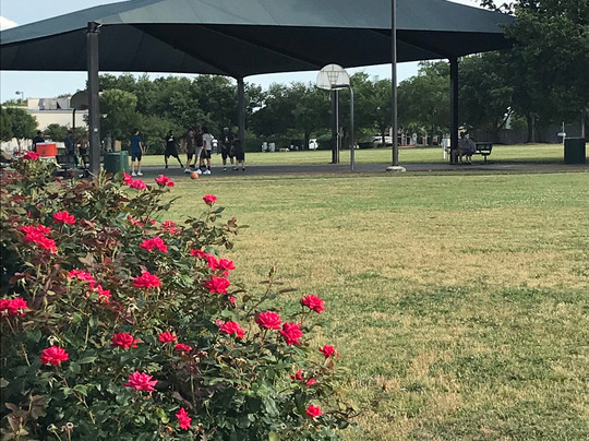 Elizabeth Milburn Park-斯德伯克必去景点