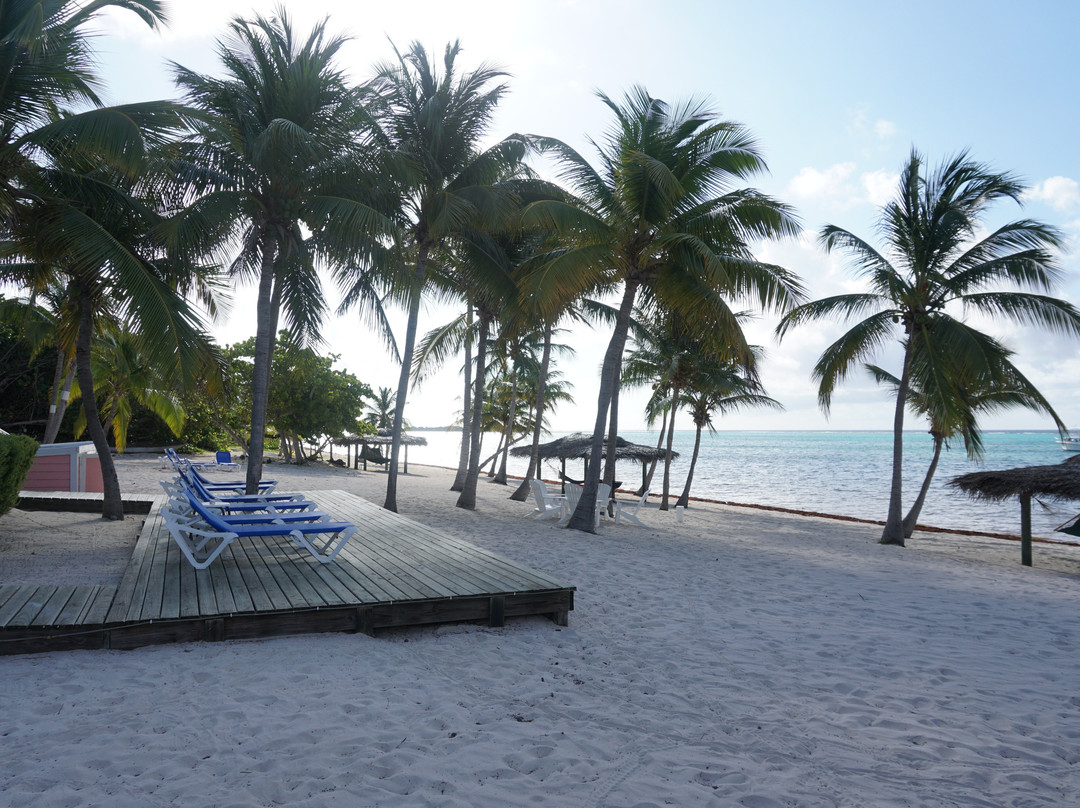 Little Cayman Beach Resort主图