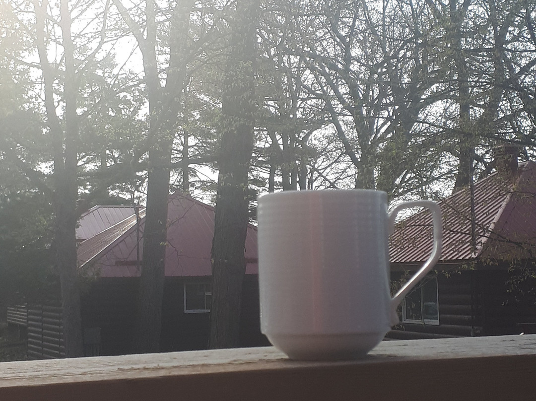 Viamede Resort主图