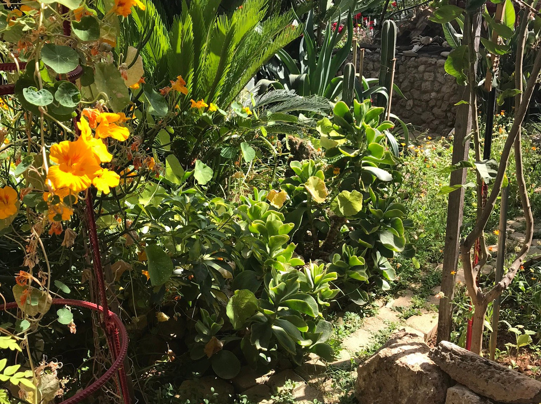 Secret Garden Walled City主图