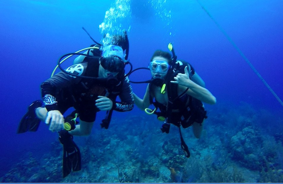 Grand Cayman Eco Divers景点图片