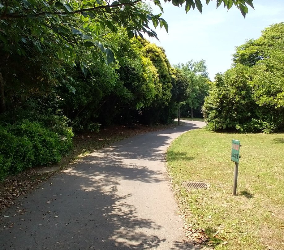 Citizen Fureai Park-富津市必去景点