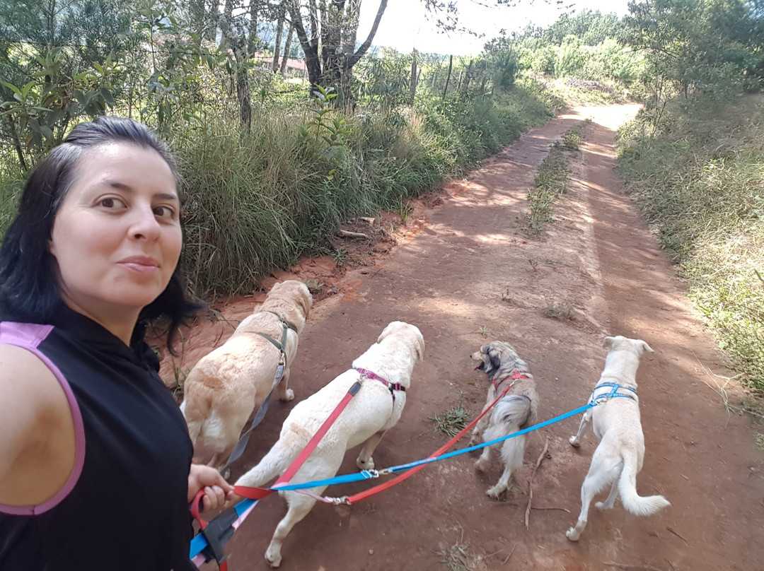 Estalagem Tronador主图