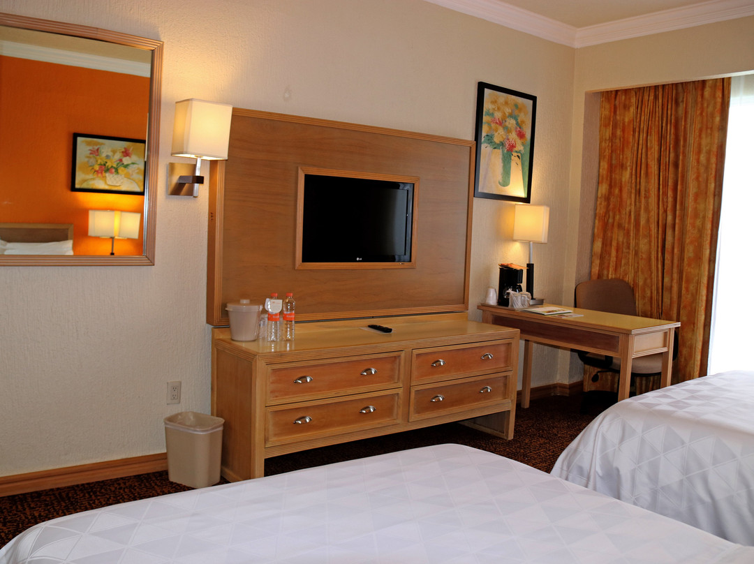 拉皮达德假日酒店主图