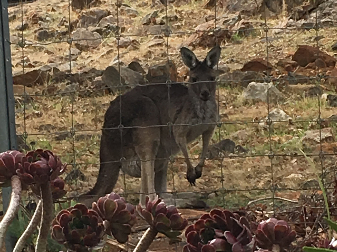 Darling Range Homestay主图