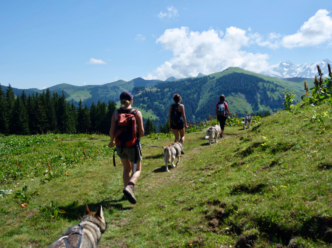 3D NORDIC, chiens de traîneau-Praz Sur Arly必去景点