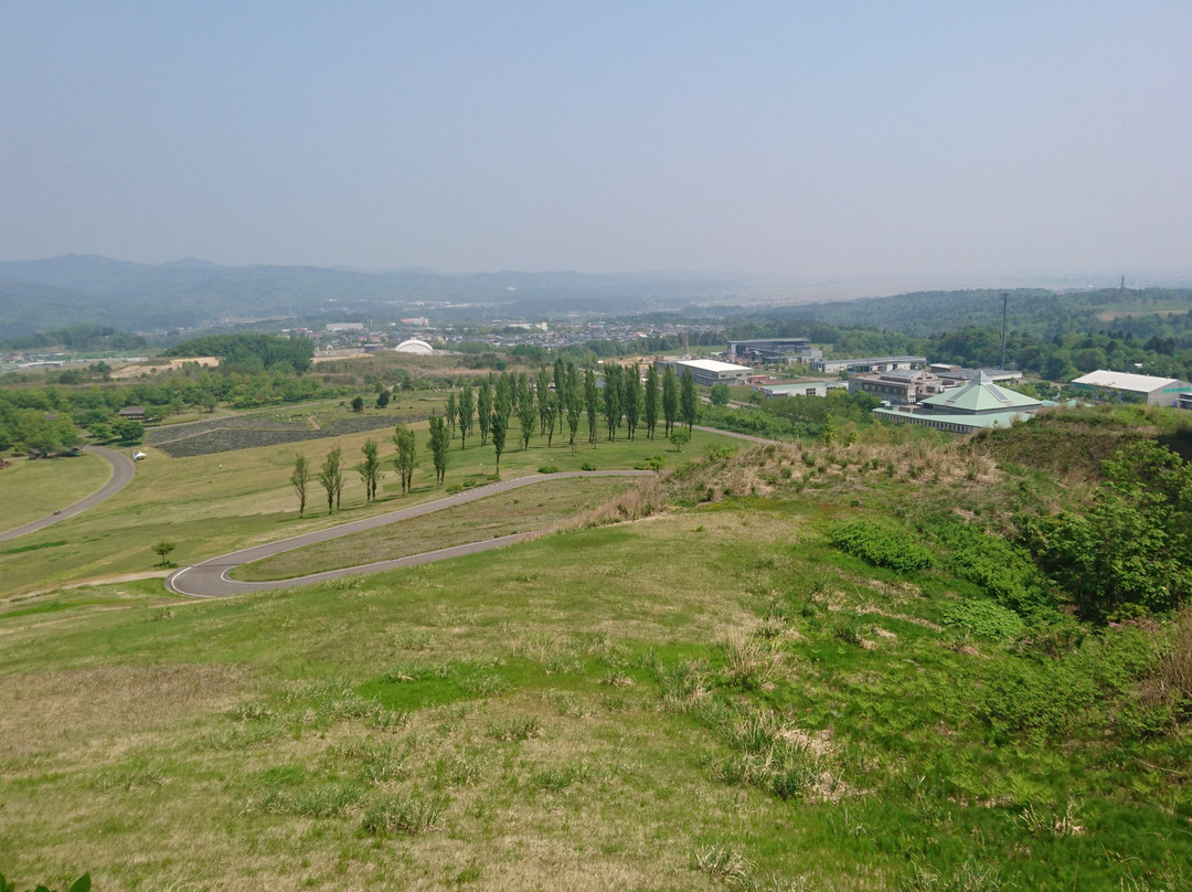 Echigo Hillside Park-长冈市必去景点