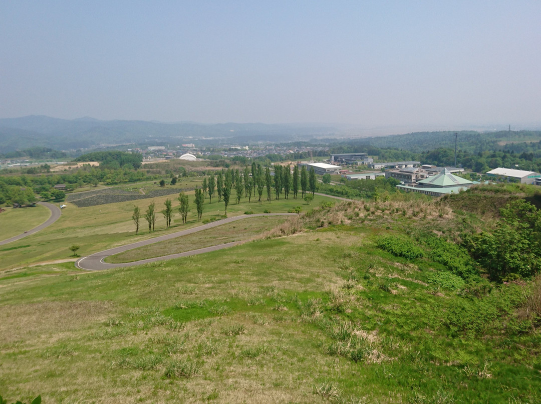 Echigo Hillside Park景点图片
