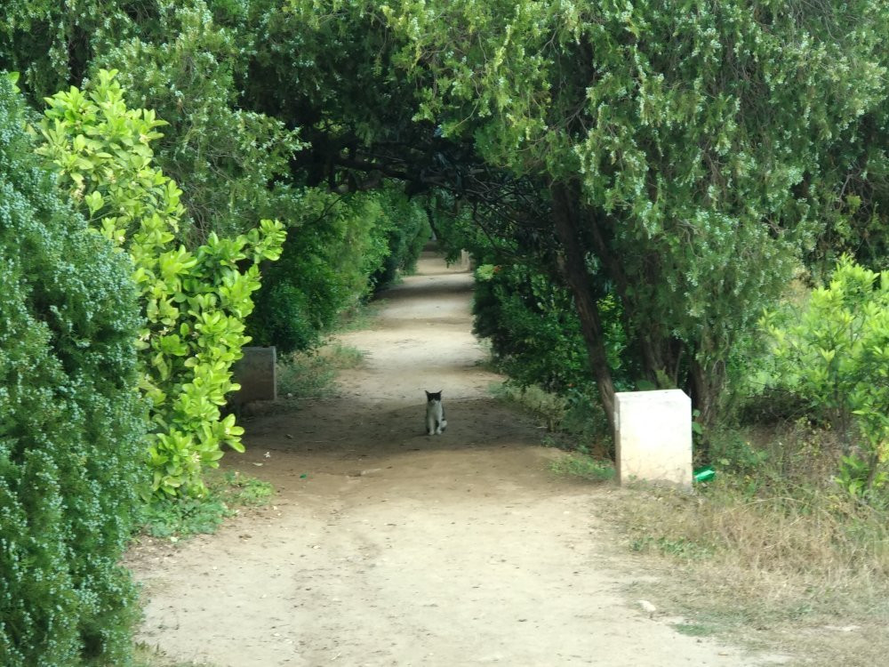 Kanhatti Garden-Khushab必去景点