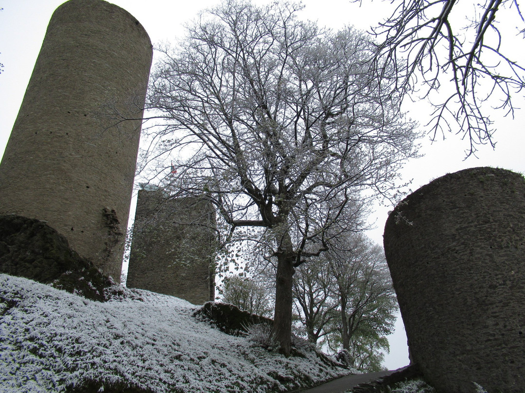 Burgruine Reifenberg景点图片