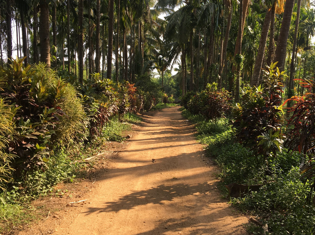 Sathwik Homestay主图