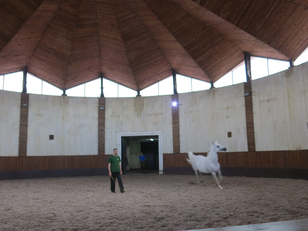 Terskiy Horse Ranch景点图片